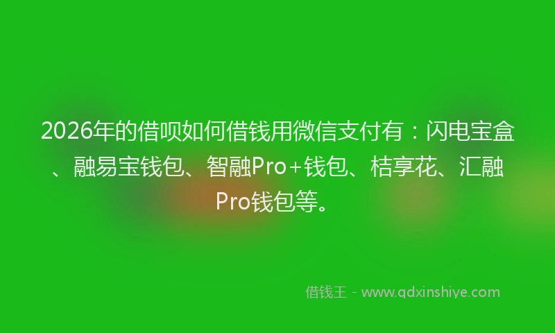 2026年的借呗如何借钱用微信支付有：闪电宝盒、融易宝钱包、智融Pro+钱包、桔享花、汇融Pro钱包等。