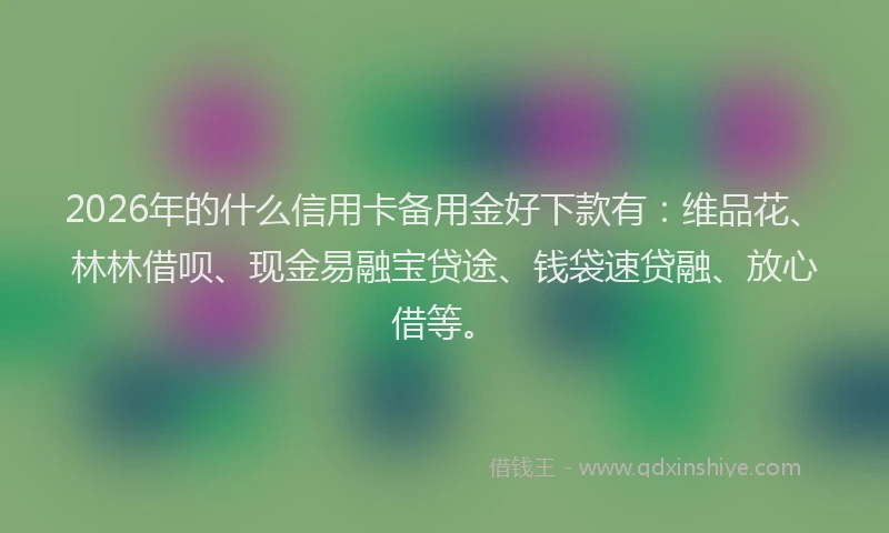 2026年的什么信用卡备用金好下款有:维品花、林林借呗、现金易融宝贷途、钱袋速贷融、放心借等。