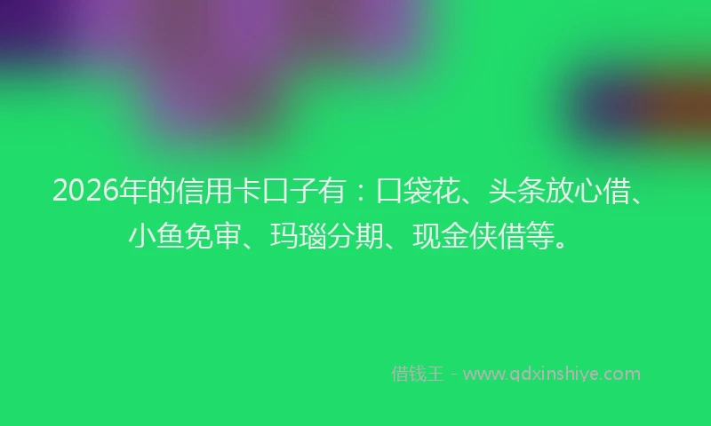 2026年的信用卡口子有：口袋花、头条放心借、小鱼免审、玛瑙分期、现金侠借等。