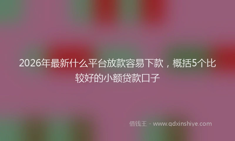 2026年最新什么平台放款容易下款，概括5个比较好的小额贷款口子