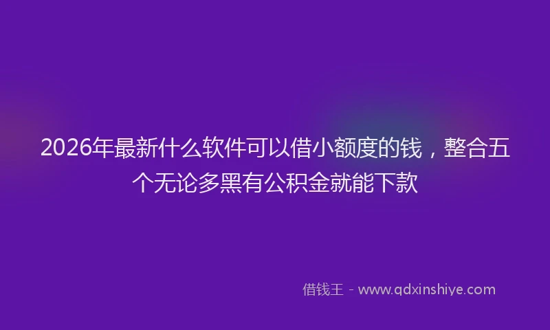 2026年最新什么软件可以借小额度的钱,整合五个无论多黑有公积金就能下款