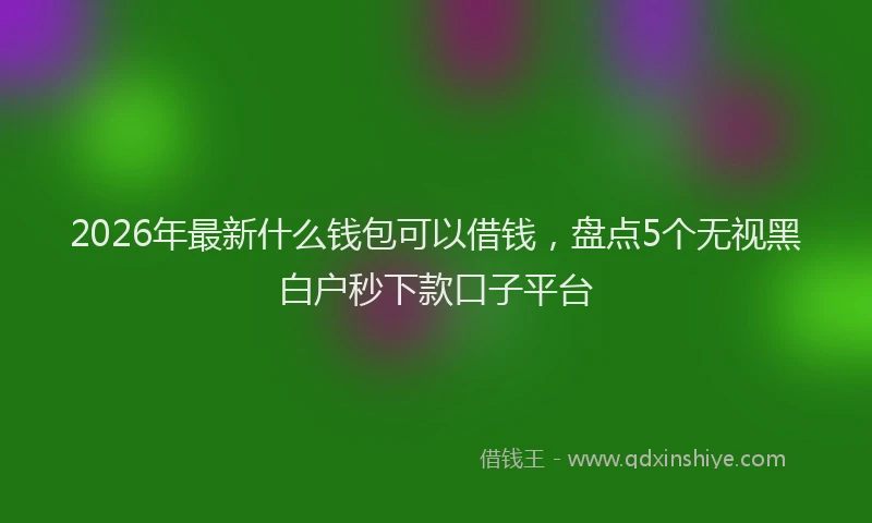 2026年最新什么钱包可以借钱，盘点5个无视黑白户秒下款口子平台