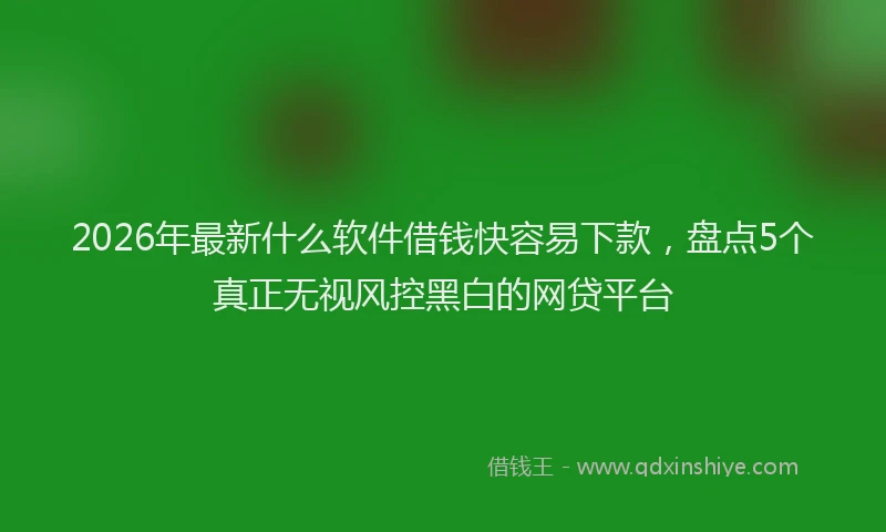 2026年最新什么软件借钱快容易下款，盘点5个真正无视风控黑白的网贷平台