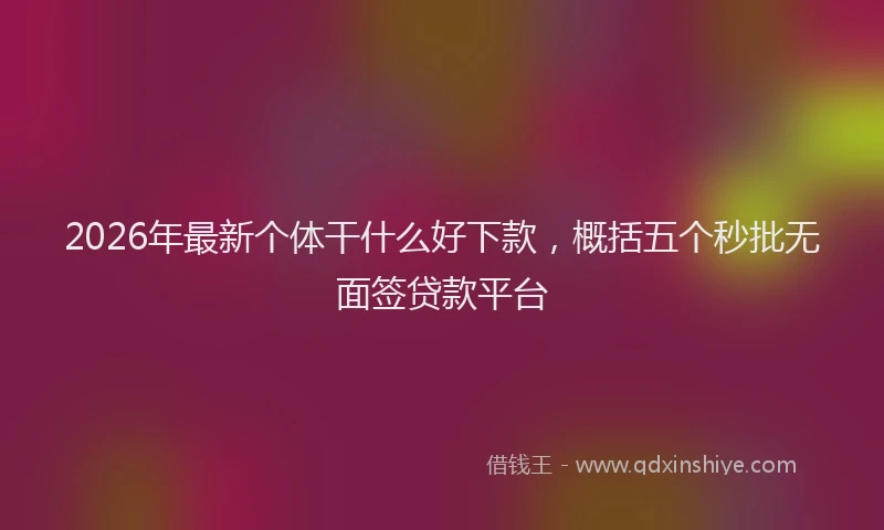 2026年最新个体干什么好下款,概括五个秒批无面签贷款平台