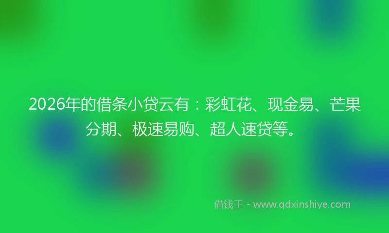 2026年的借条小贷云有：彩虹花、现金易、芒果分期、极速易购、超人速贷等。
