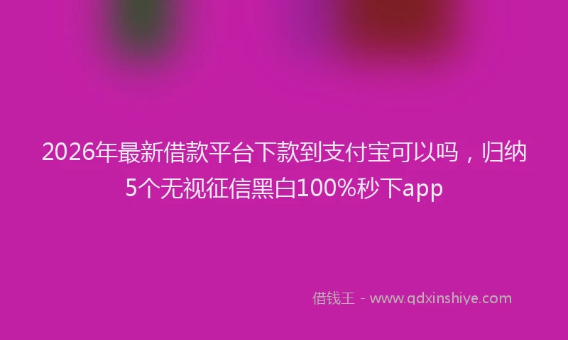 2026年最新借款平台下款到支付宝可以吗，归纳5个无视征信黑白100%秒下app