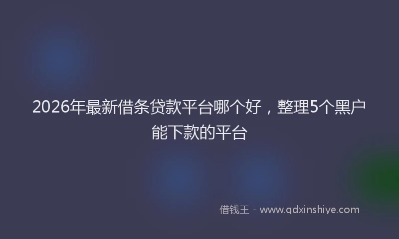 2026年最新借条贷款平台哪个好，整理5个黑户能下款的平台