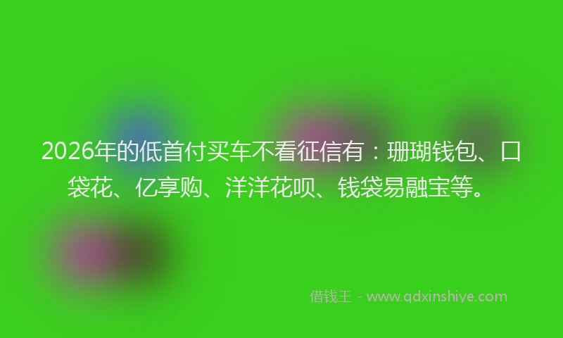 2026年的低首付买车不看征信有：珊瑚钱包、口袋花、亿享购、洋洋花呗、钱袋易融宝等。