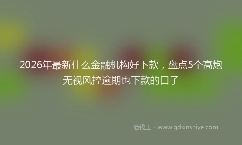 2026年最新什么金融机构好下款，盘点5个高炮无视风控逾期也下款的口子