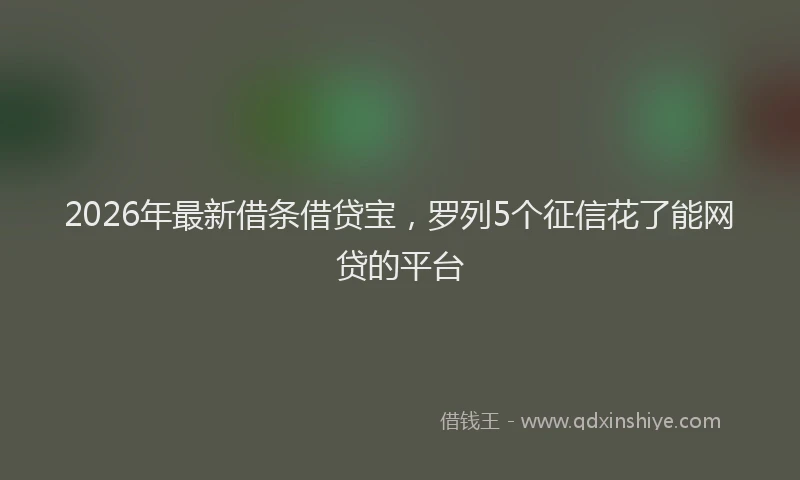 2026年最新借条借贷宝，罗列5个征信花了能网贷的平台