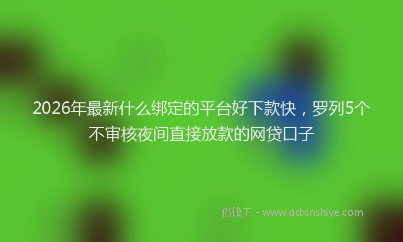 2026年最新什么绑定的平台好下款快，罗列5个不审核夜间直接放款的网贷口子