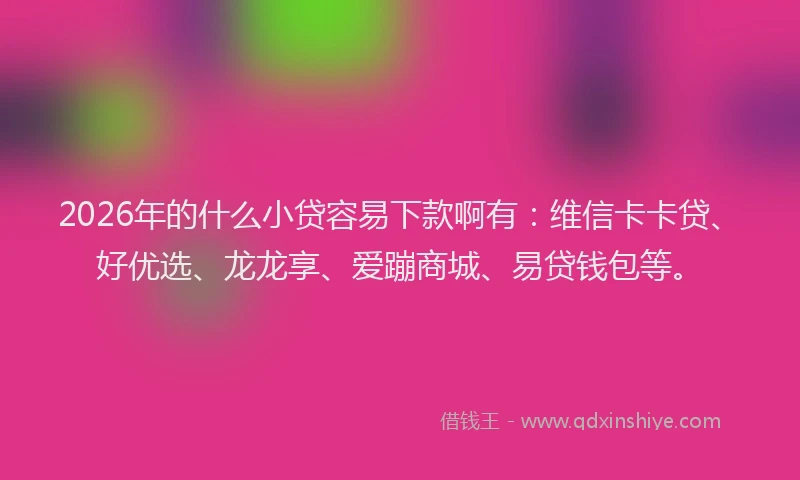 2026年的什么小贷容易下款啊有：维信卡卡贷、好优选、龙龙享、爱蹦商城、易贷钱包等。