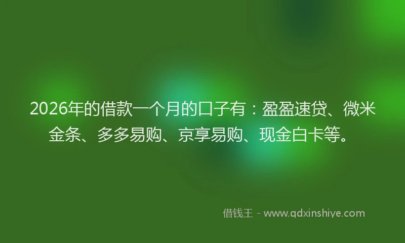2026年的借款一个月的口子有：盈盈速贷、微米金条、多多易购、京享易购、现金白卡等。