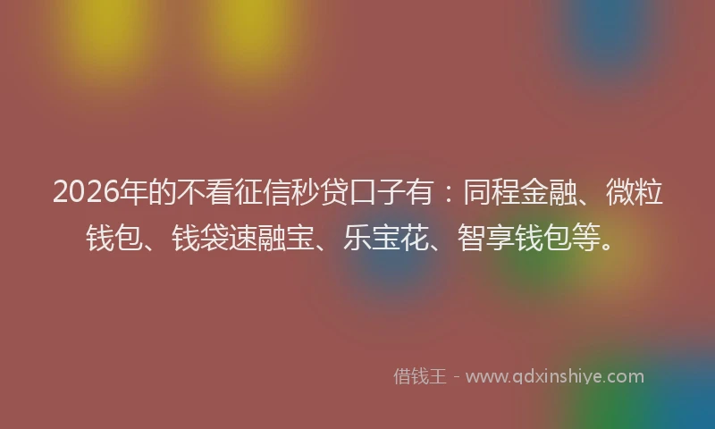 2026年的不看征信秒贷口子有：同程金融、微粒钱包、钱袋速融宝、乐宝花、智享钱包等。