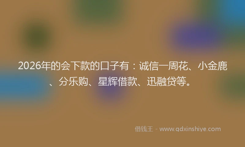 2026年的会下款的口子有：诚信一周花、小金鹿、分乐购、星辉借款、迅融贷等。