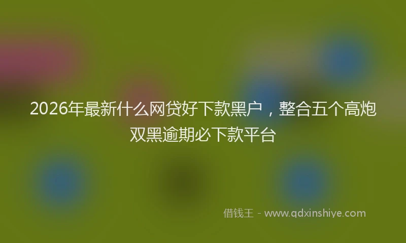 2026年最新什么网贷好下款黑户，整合五个高炮双黑逾期必下款平台