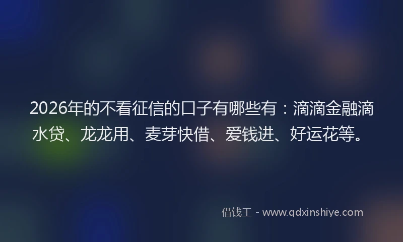 2026年的不看征信的口子有哪些有：滴滴金融滴水贷、龙龙用、麦芽快借、爱钱进、好运花等。