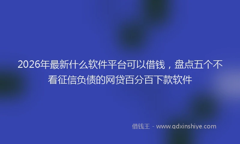 2026年最新什么软件平台可以借钱，盘点五个不看征信负债的网贷百分百下款软件