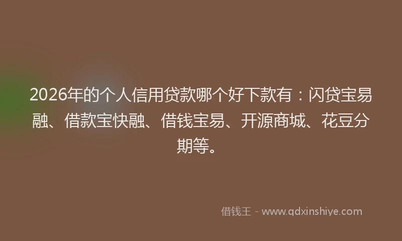 2026年的个人信用贷款哪个好下款有：闪贷宝易融、借款宝快融、借钱宝易、开源商城、花豆分期等。