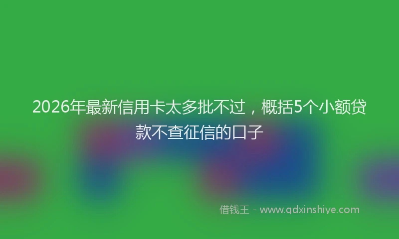 2026年最新信用卡太多批不过,概括5个小额贷款不查征信的口子