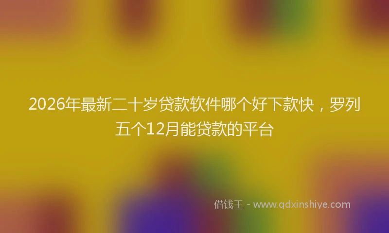 2026年最新二十岁贷款软件哪个好下款快，罗列五个12月能贷款的平台