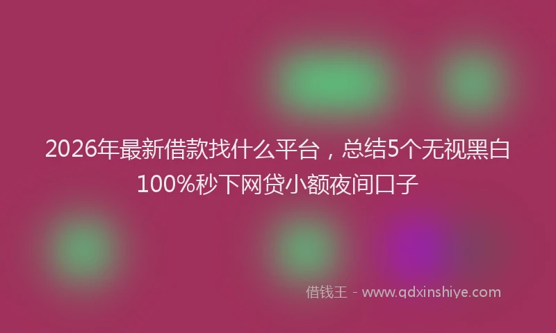 2026年最新借款找什么平台，总结5个无视黑白100%秒下网贷小额夜间口子