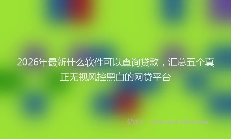 2026年最新什么软件可以查询贷款，汇总五个真正无视风控黑白的网贷平台