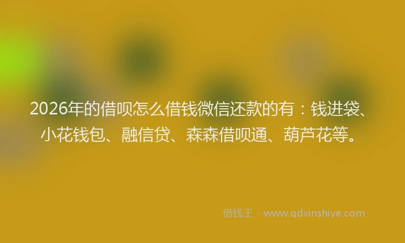 2026年的借呗怎么借钱微信还款的有：钱进袋、小花钱包、融信贷、森森借呗通、葫芦花等。
