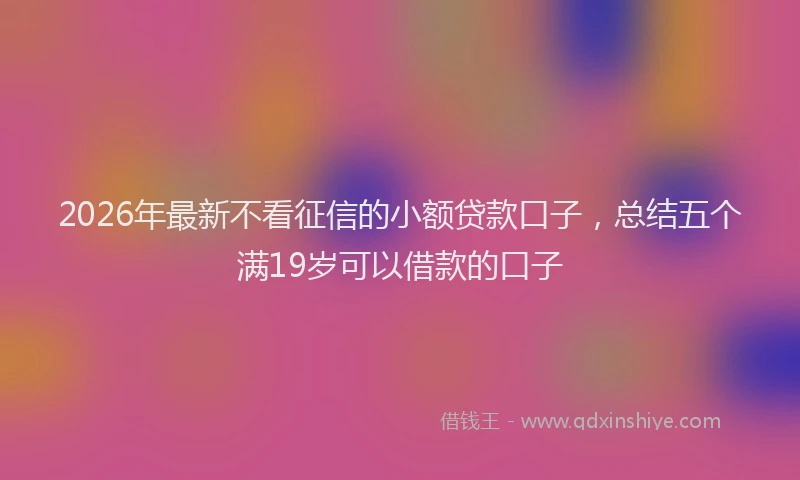 2026年最新不看征信的小额贷款口子，总结五个满19岁可以借款的口子