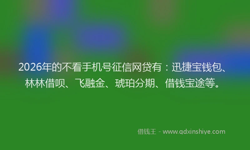 2026年的不看手机号征信网贷有：迅捷宝钱包、林林借呗、飞融金、琥珀分期、借钱宝途等。