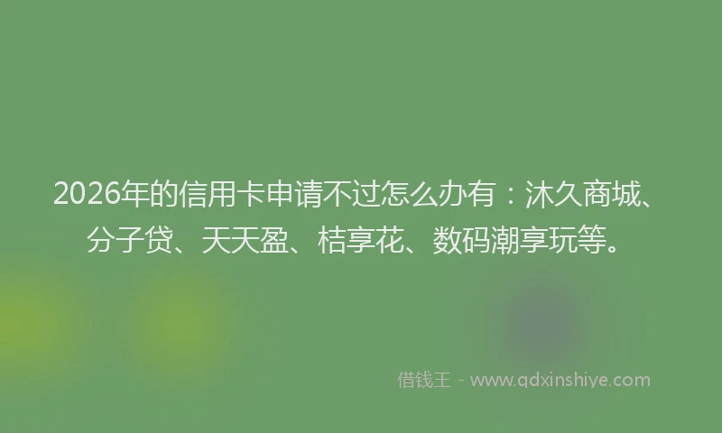 2026年的信用卡申请不过怎么办有：沐久商城、分子贷、天天盈、桔享花、数码潮享玩等。