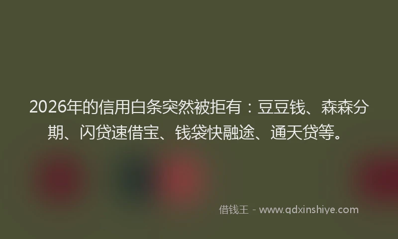 2026年的信用白条突然被拒有：豆豆钱、森森分期、闪贷速借宝、钱袋快融途、通天贷等。
