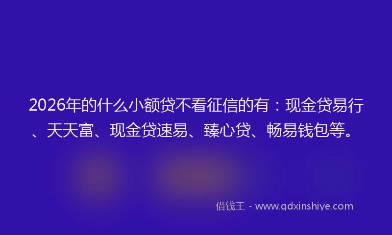2026年的什么小额贷不看征信的有:现金贷易行、天天富、现金贷速易、臻心贷、畅易钱包等。