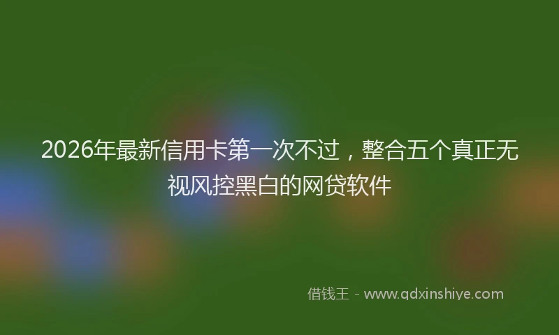2026年最新信用卡第一次不过，整合五个真正无视风控黑白的网贷软件
