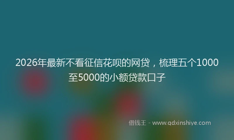 2026年最新不看征信花呗的网贷，梳理五个1000至5000的小额贷款口子