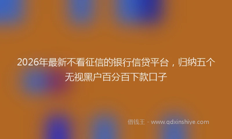 2026年最新不看征信的银行信贷平台，归纳五个无视黑户百分百下款口子