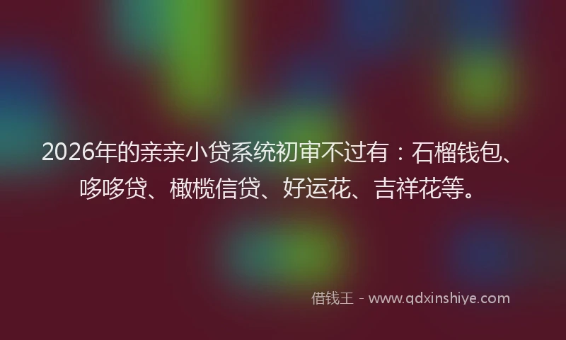 2026年的亲亲小贷系统初审不过有:石榴钱包、哆哆贷、橄榄信贷、好运花、吉祥花等。