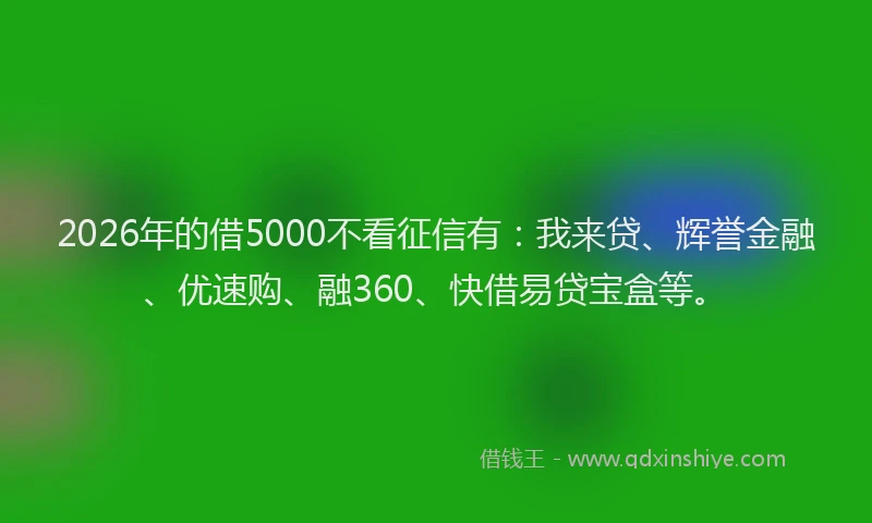 2026年的借5000不看征信有：我来贷、辉誉金融、优速购、融360、快借易贷宝盒等。