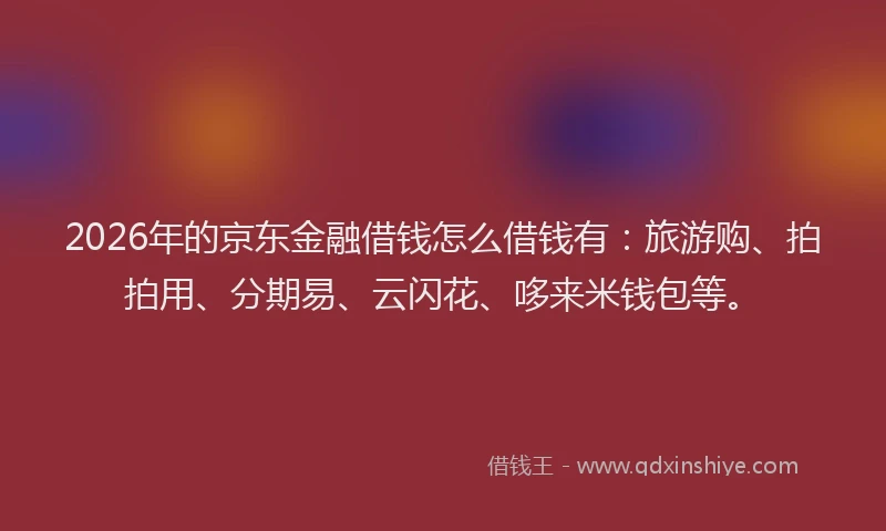 2026年的京东金融借钱怎么借钱有：旅游购、拍拍用、分期易、云闪花、哆来米钱包等。