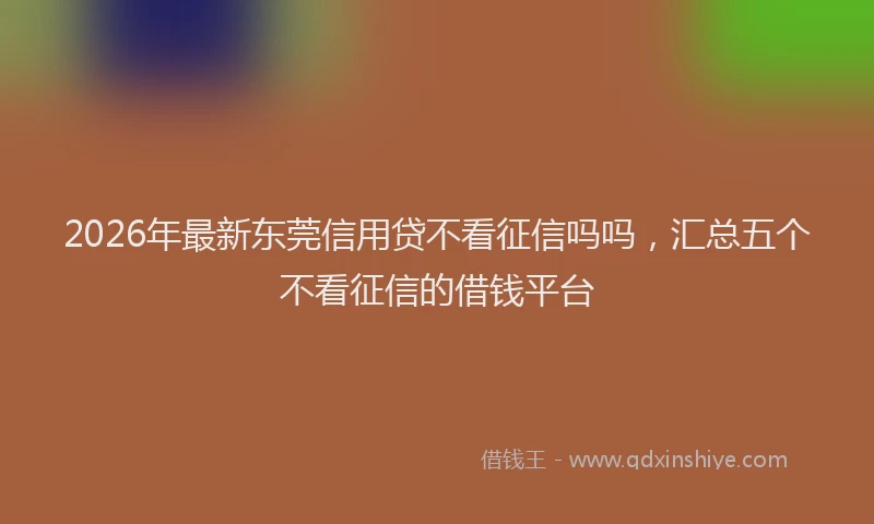 2026年最新东莞信用贷不看征信吗吗，汇总五个不看征信的借钱平台