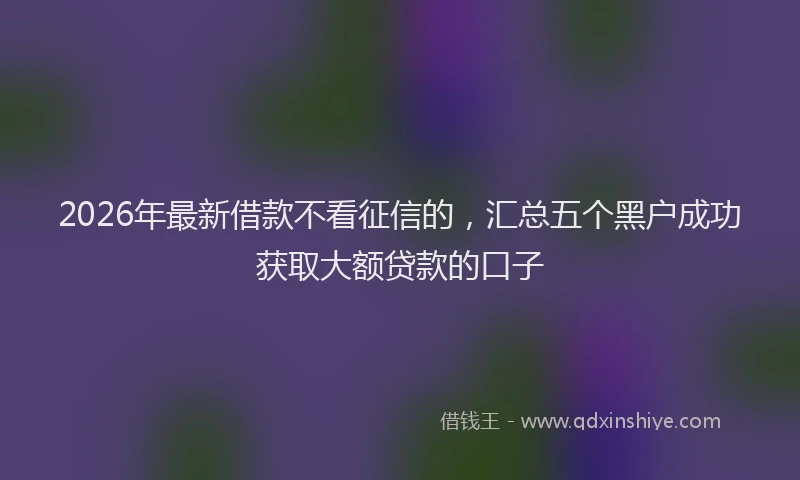 2026年最新借款不看征信的，汇总五个黑户成功获取大额贷款的口子