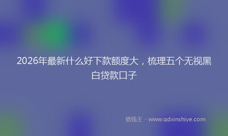 2026年最新什么好下款额度大，梳理五个无视黑白贷款口子