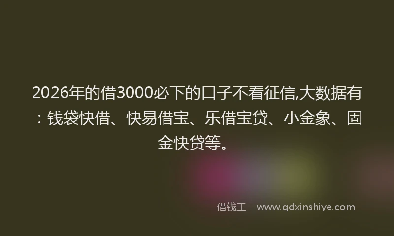 2026年的借3000必下的口子不看征信,大数据有：钱袋快借、快易借宝、乐借宝贷、小金象、固金快贷等。