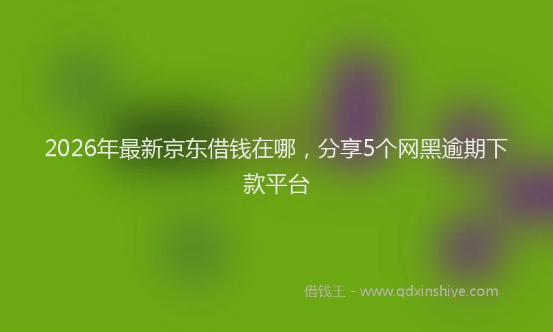 2026年最新京东借钱在哪，分享5个网黑逾期下款平台