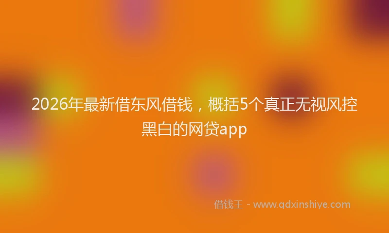 2026年最新借东风借钱,概括5个真正无视风控黑白的网贷app