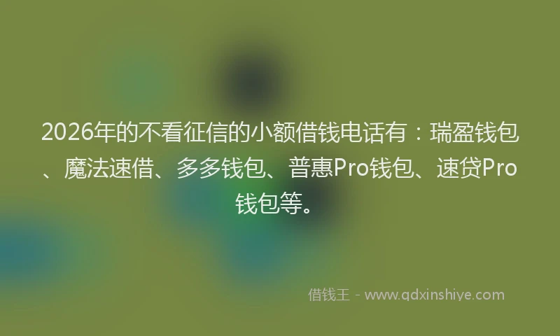 2026年的不看征信的小额借钱电话有：瑞盈钱包、魔法速借、多多钱包、普惠Pro钱包、速贷Pro钱包等。