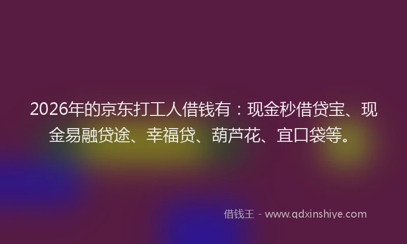 2026年的京东打工人借钱有:现金秒借贷宝、现金易融贷途、幸福贷、葫芦花、宜口袋等。