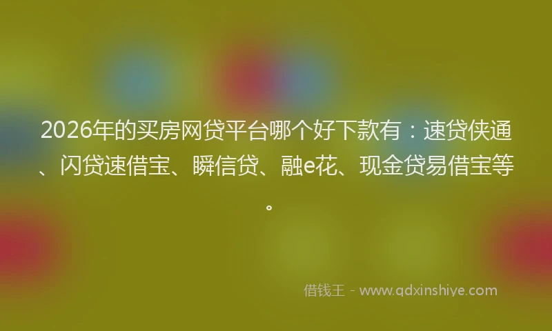 2026年的买房网贷平台哪个好下款有：速贷侠通、闪贷速借宝、瞬信贷、融e花、现金贷易借宝等。