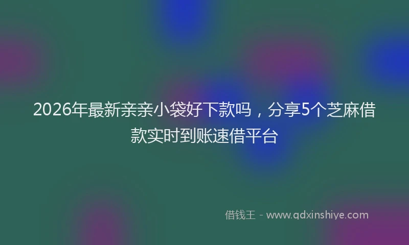 2026年最新亲亲小袋好下款吗,分享5个芝麻借款实时到账速借平台