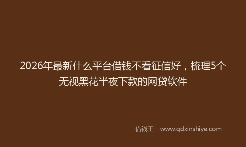 2026年最新什么平台借钱不看征信好，梳理5个无视黑花半夜下款的网贷软件